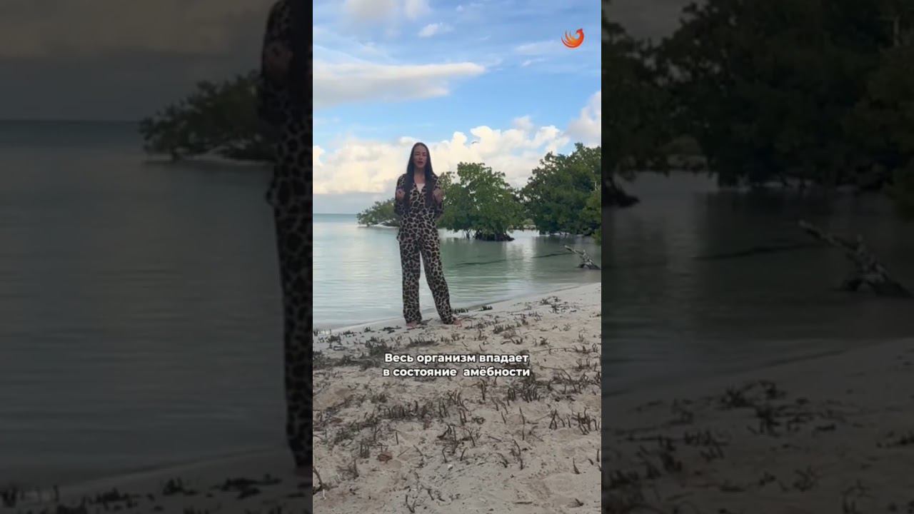 #успех #деньги #здоровье #бизнес #ольганатан #эмоции #академияуспеха #дыхание #баланс #зож смотреть онлайн