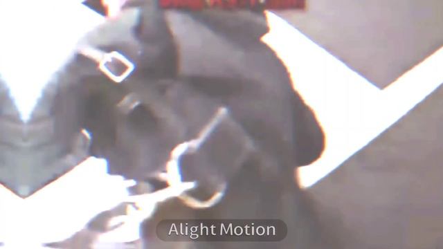 ДОБЕРМАНЫ ДЕРУТСЯ смотреть онлайн