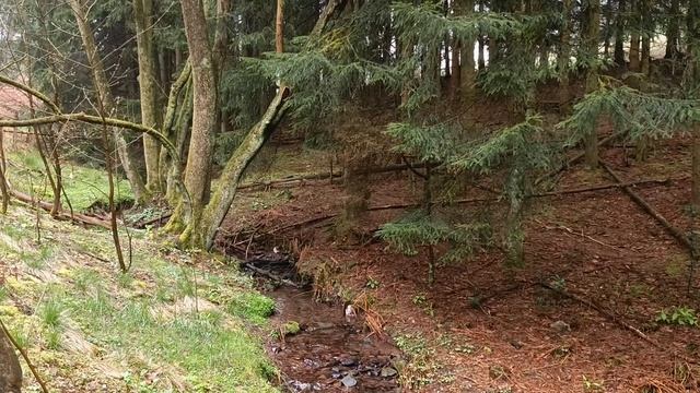 Гармония с природой. Успокаивающие звуки природы. Красота и величие.!!!!!