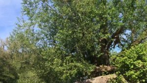 Arnsberg, NRW, Germany. Starlight