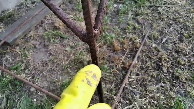 муравьи атаковали улей с пчёлами смотреть онлайн