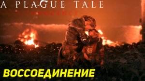 ВОССОЕДИНЕНИЕ ➤ A Plague Tale: Innocence Прохождение #11