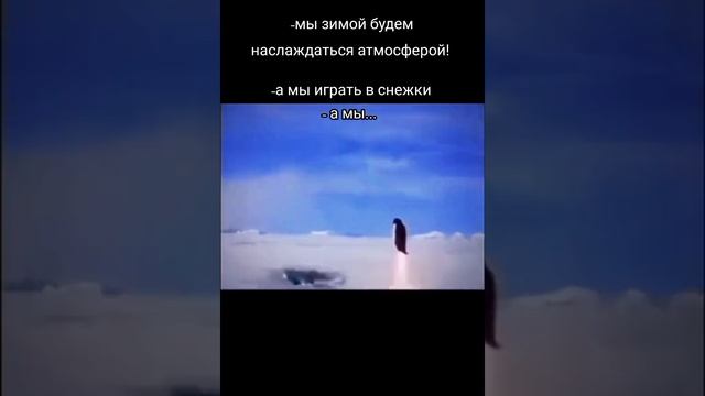 поко
