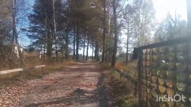 нашли заброшенное стрельбище