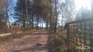 нашли заброшенное стрельбище