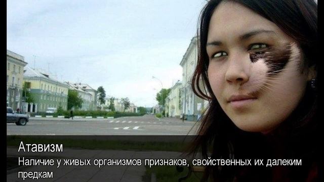 Атавизм. Толковый Видеословарь русского языка смотреть онлайн