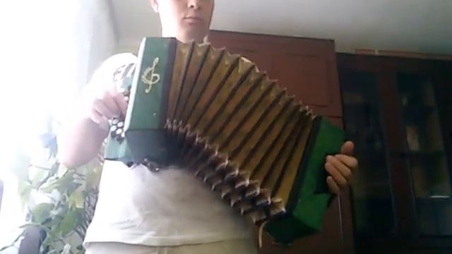 Маленький баян Кременное (Рени)