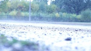 Трагги VRX-1E, 1:8 масштаб. Моя первая радиоуправляемая машина.