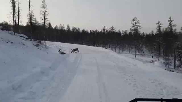 Лучше не выходите из дома в Россию идут аномальные морозы до минус 53 градусов