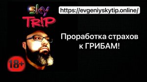 Отзыв Сергея З. I SkyTrip