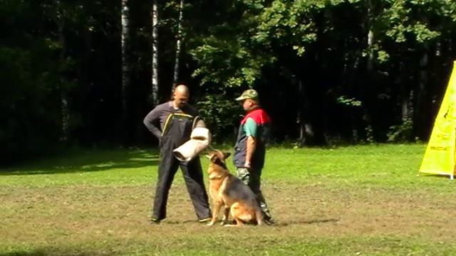 НО 2, защита ИПО 3 смотреть онлайн