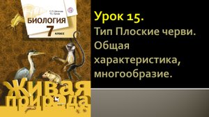 Урок 15. Тип Плоские черви. Общая характеристика, многообразие