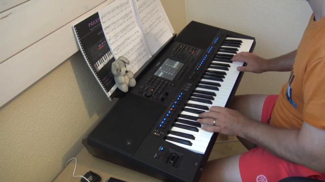 Yamaha PSR SX 700 Konzert 2 смотреть онлайн