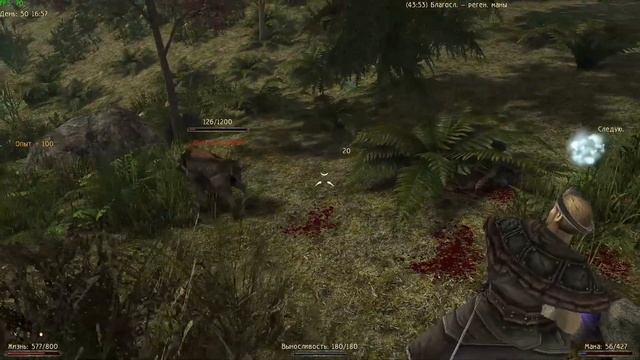 Готика 2 Новый Баланс / зачистка не далеко от башни Ксардаса и рядом с раскопками /эпизод 28 смотреть онлайн