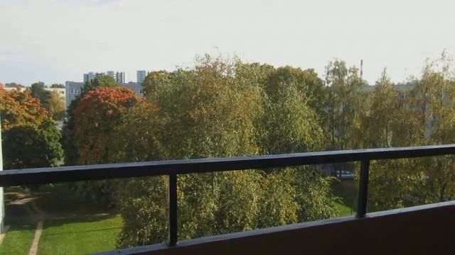 Влог. Бесплатный проезд в транспорте Таллинна. По просьбе канала Лена Маринина. смотреть онлайн