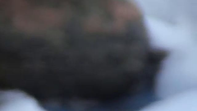 Хранение тыквы в сугробах... смотреть онлайн