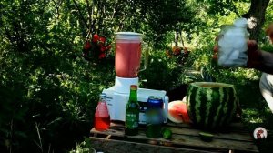 Коктейль из Арбуза Азербайджанская Кухня Деревенская Кухня  Рецепты