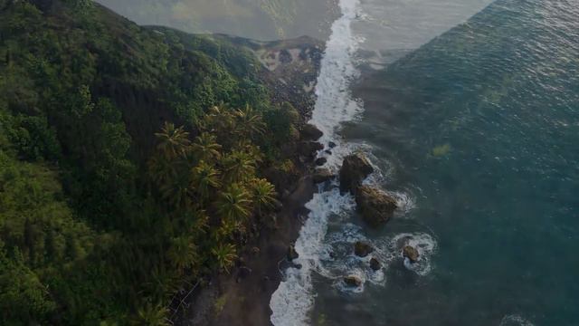 Piano Music Pampers & Pleases the Soul, Soothing Music Heals the Blood Vessels смотреть онлайн