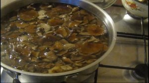 Маринованные опята на зиму  Самый вкусный маринад