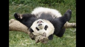 Как сделать скриншот экрана || Как сделать скриншот игры || Скриншот без дополнительных программ