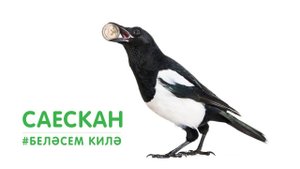 БЕЛӘСЕМ КИЛӘ: саескан / Изучаем с малышами животных и птиц / Сорока