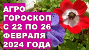 Агрогороскоп с 22 по 26 февраля 2024 года Agrohoroscope from February 22 to 26, 2024