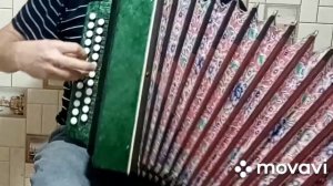 Гармонь Ивушка. Обзор.