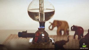 Чайная церемония с сифоном - Чайный клип