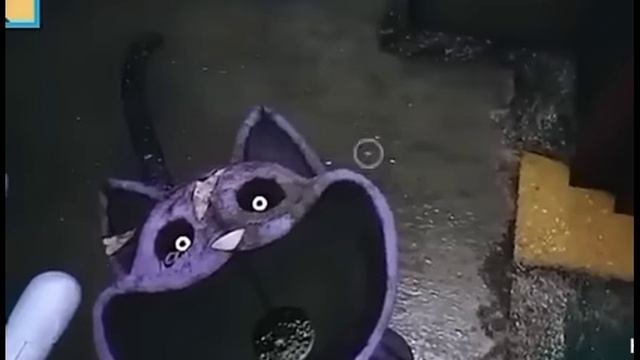 Catnap Cute