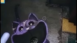 catnap cute