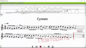 Сулико на поперечной флейте
