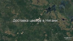 Доставка цветов в Нягани - Заказ букетов от компании Скорая подарочная помощь