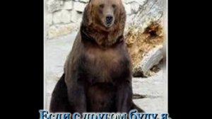 Когда мои друзья со мной