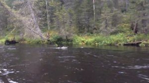 По перекатам на мотовесле
