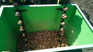 Посадка картофеля картофелесажалкой Bomet (Польша)