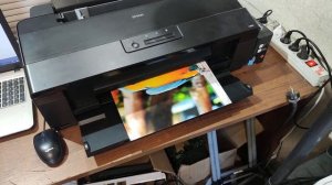 epson l1800 образец печати
