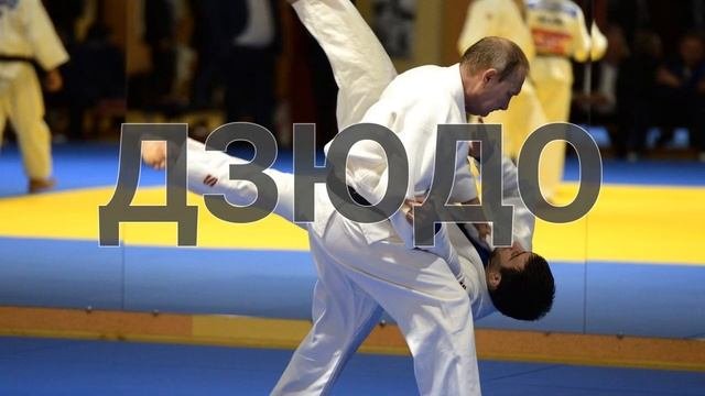 ВСЕ ВИДЫ ЕДИНОБОРСТВ в одном видео