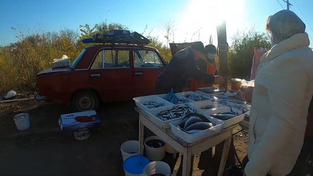 РЫНОК СЕЛО КУЛЕВЧА/ ОБЗОР ЦЕН НА ПРОДУКТЫ ОКТЯБРЬ  2021