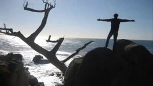 Ленинград песня СВОБОДА