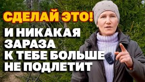 ДЕЛАЙ ВЕСНОЙ ОТПУГИВАТЕЛЬ ОТ КОМАРОВ МУХ КЛЕЩЕЙ СЛЕПНЕЙ ГНУСА СВОИМИ РУКАМИ