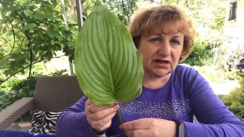 Варикоз и соли ЛЕЧИМ ЛЕГКО !!!