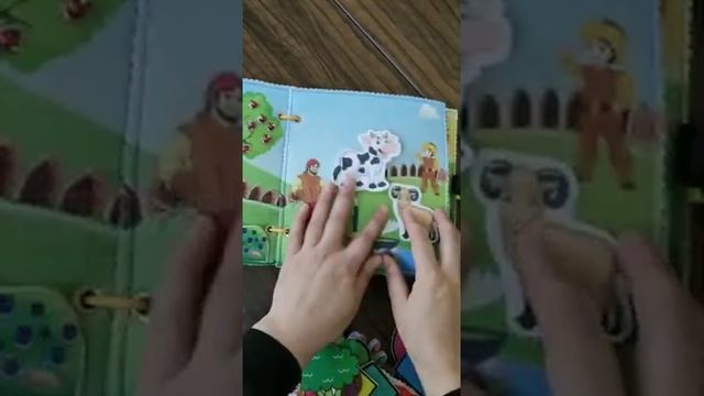 Кийизден мыкты жасалган китеп? смотреть онлайн