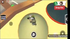 Roblox?Райд и флай пета ультра пет!?