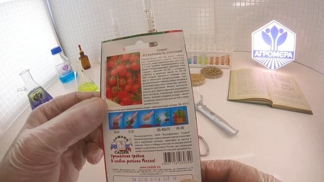 Томат Карамель красная F1. СеДеК смотреть онлайн