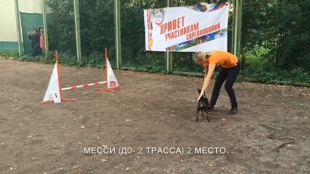 Квалификационные соревнования по аджилити АРКС 20.09.2015 Месси, Д0 смотреть онлайн
