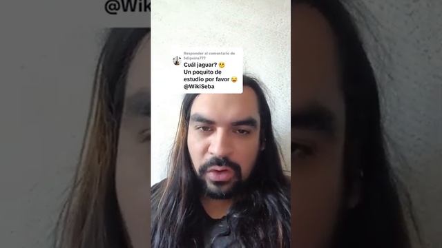 El Leopardo Jaguar смотреть онлайн