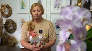Трипсы. Как бороться?