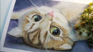 Котенок акварелью! A kitten in watercolor!
