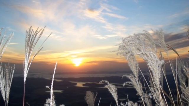 Голову седую мне любовь кружит смотреть онлайн