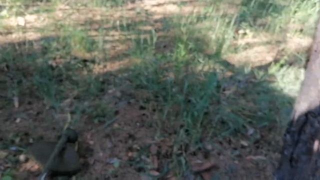 #изба, #хижина,#землянка. Работа на стане. Косим траву, прополка огородика. Часть 2. смотреть онлайн